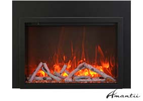 elelctric fireplace insert